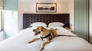 Egyptian cotton sheets, premium bedding, down duvets, minibar