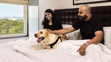 A bed with a dog, a person petting the dog, and a window with a view.