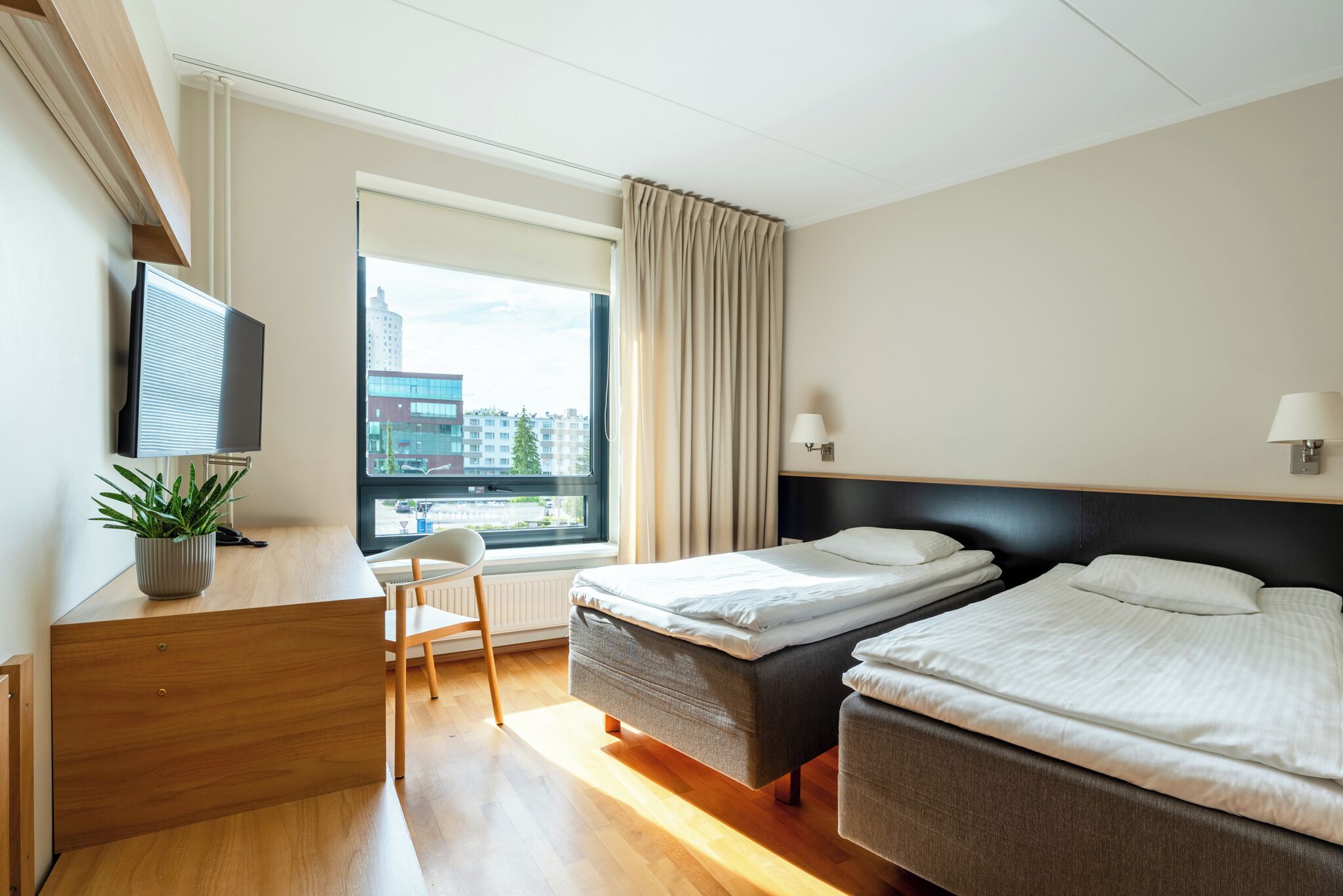 Habitación de hotel con dos camas, un escritorio con una planta, una silla, un televisor y una ventana con cortinas.