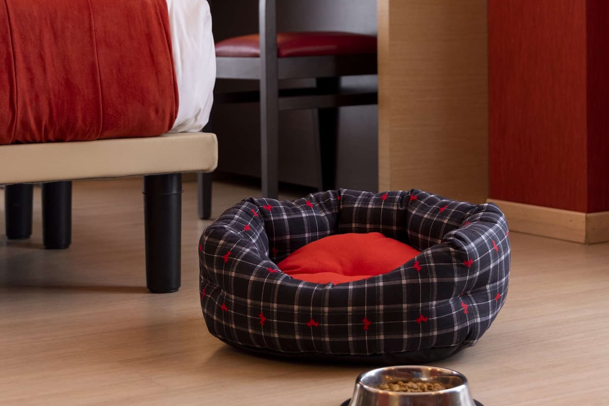 1 bedroom, frette italian sheets, premium bedding, down duvets