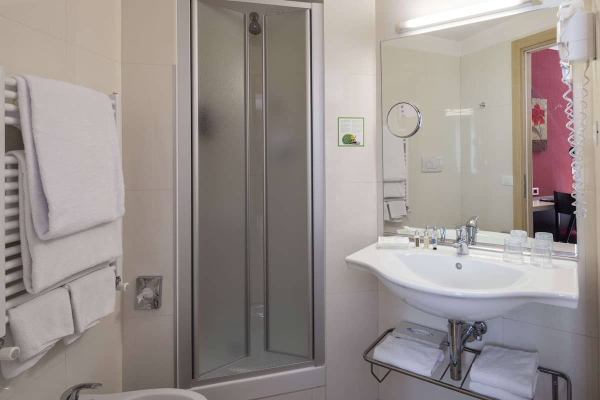 shower, free toiletries, hair dryer, bidet