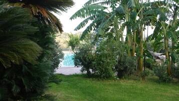 A lush garden with a variety of tropical plants, including banana trees and a palm tree.
