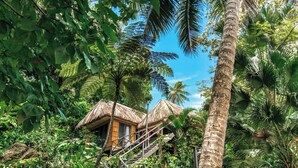 A tropical resort with thatched-roof huts, surrounded by lush greenery and palm trees. - Matangi Island Resort - Adults Only (Matangi Island)