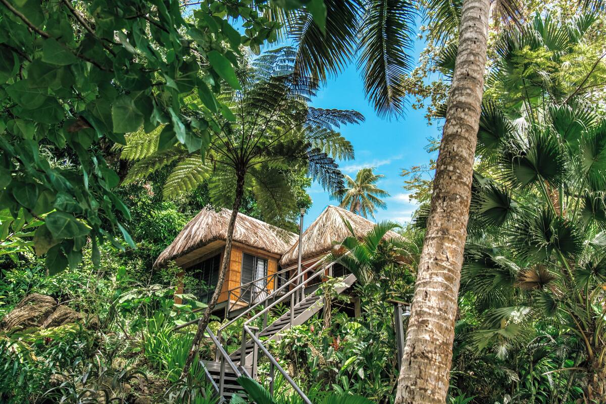 A tropical resort with thatched-roof huts, surrounded by lush greenery and palm trees.