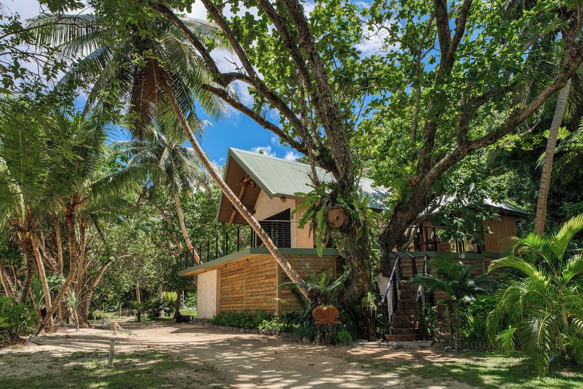 A wooden house surrounded by lush greenery and palm trees.