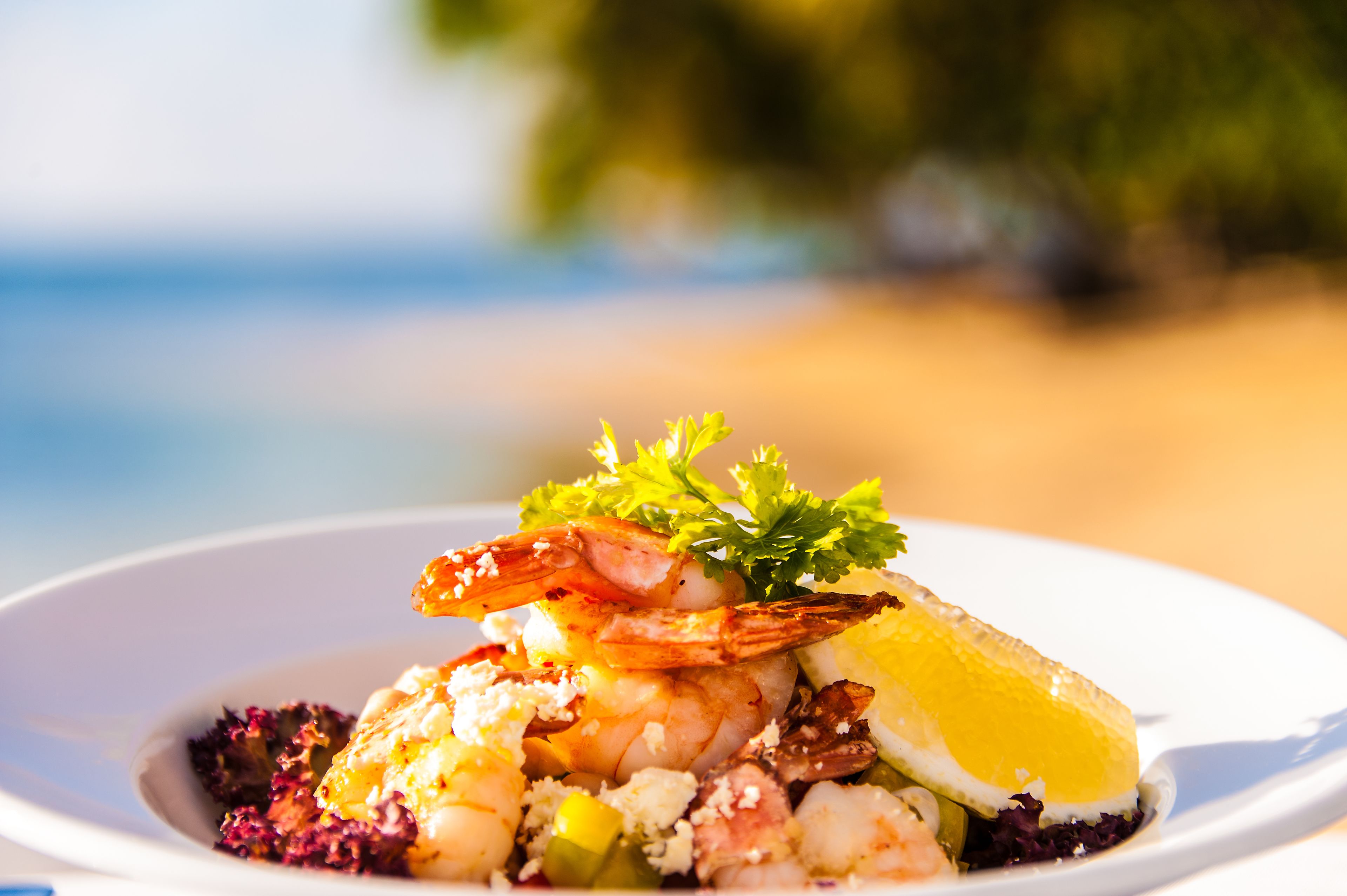 A seafood dish on a plate with a blurred beach and ocean in the background.
