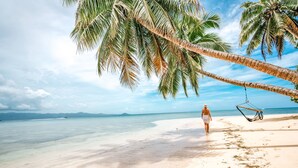 A beach with clear water, palm trees, and a hammock. - Matangi Island Resort - Adults Only (Matangi Island)