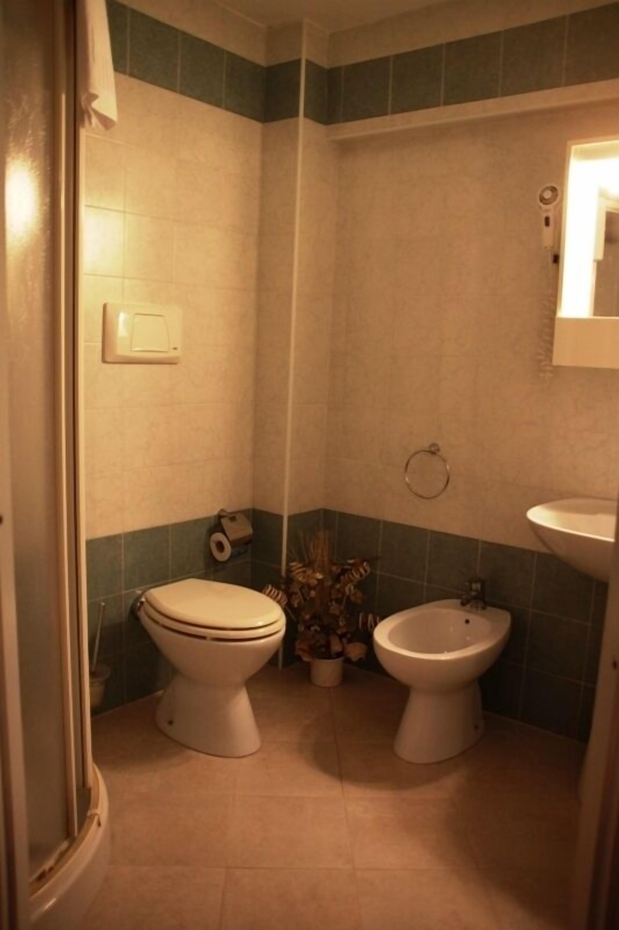 superior double room | bathroom | shower, free toiletries, hair dryer, bidet