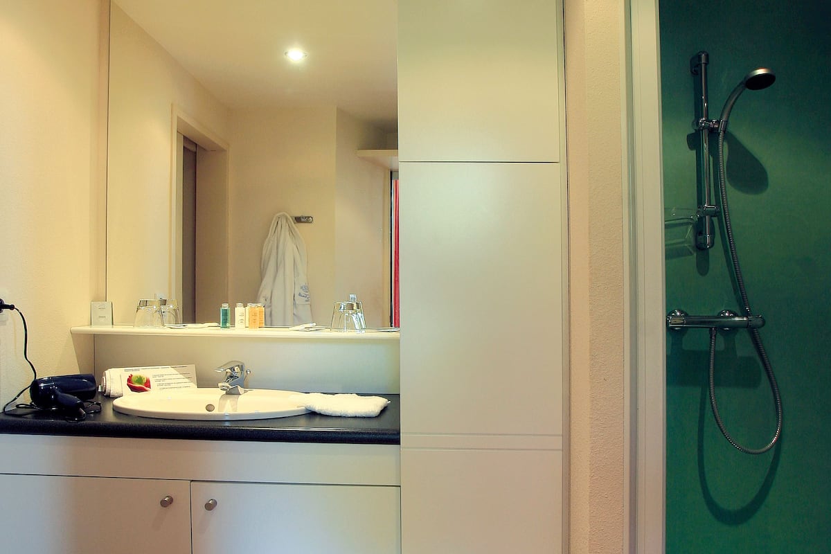 shower, free toiletries, hair dryer, towels