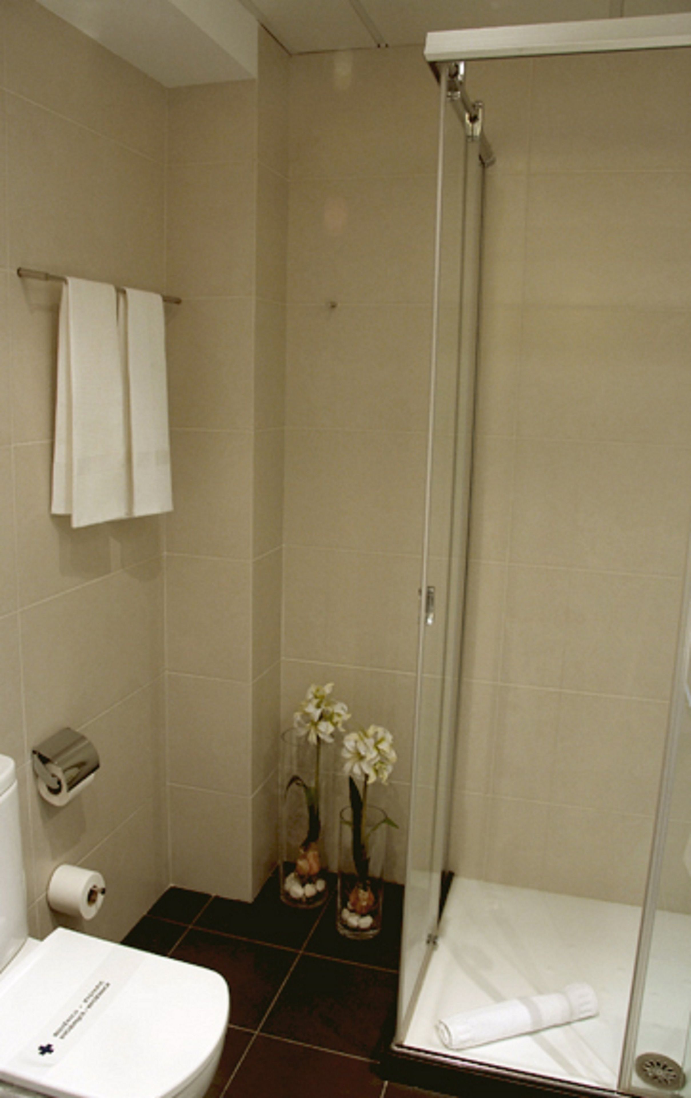 A bathroom with a toilet, a shower, and a towel rack.