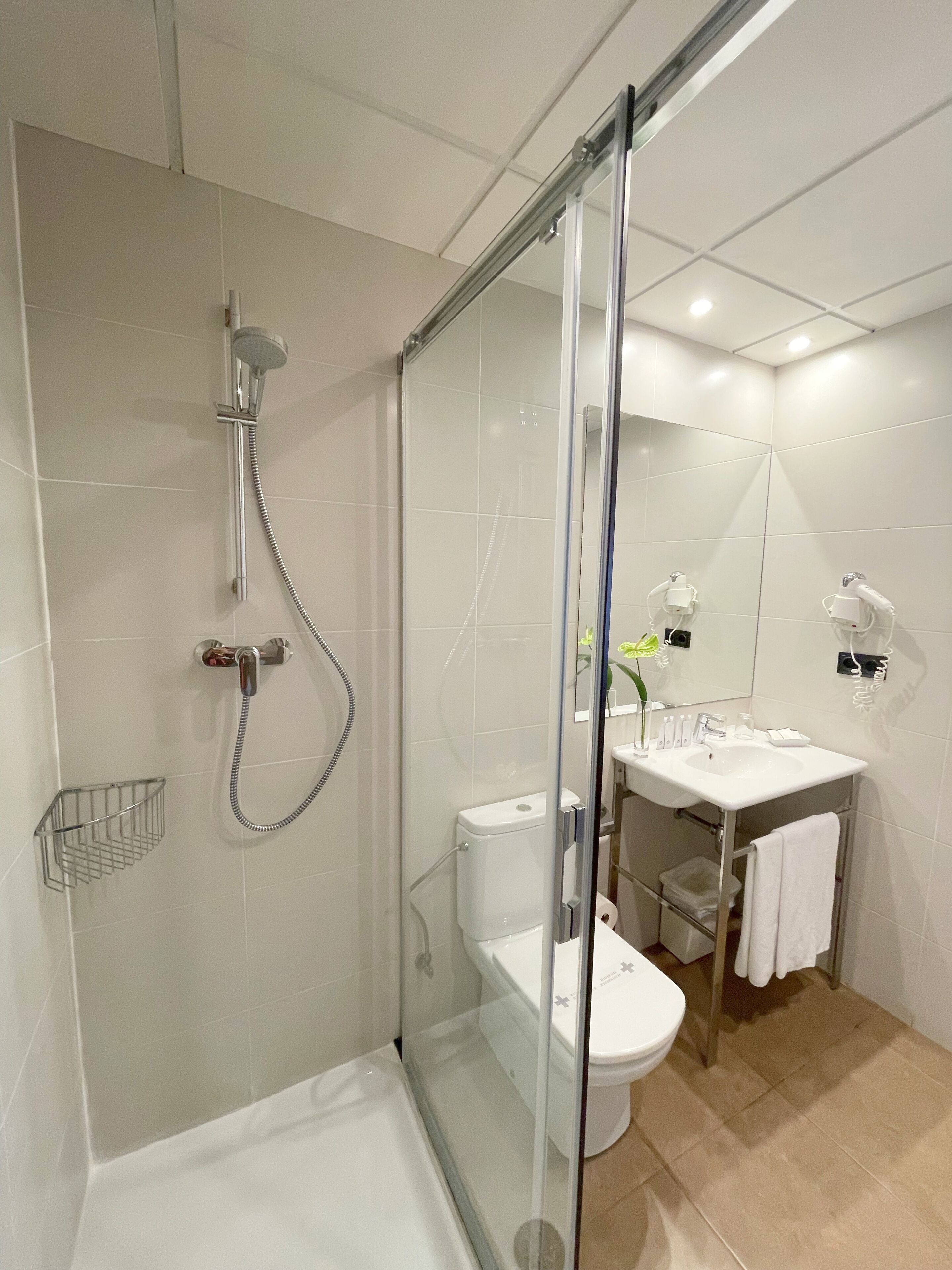 A modern bathroom with a glass-enclosed shower, a white toilet, and a sink with a mirror.
