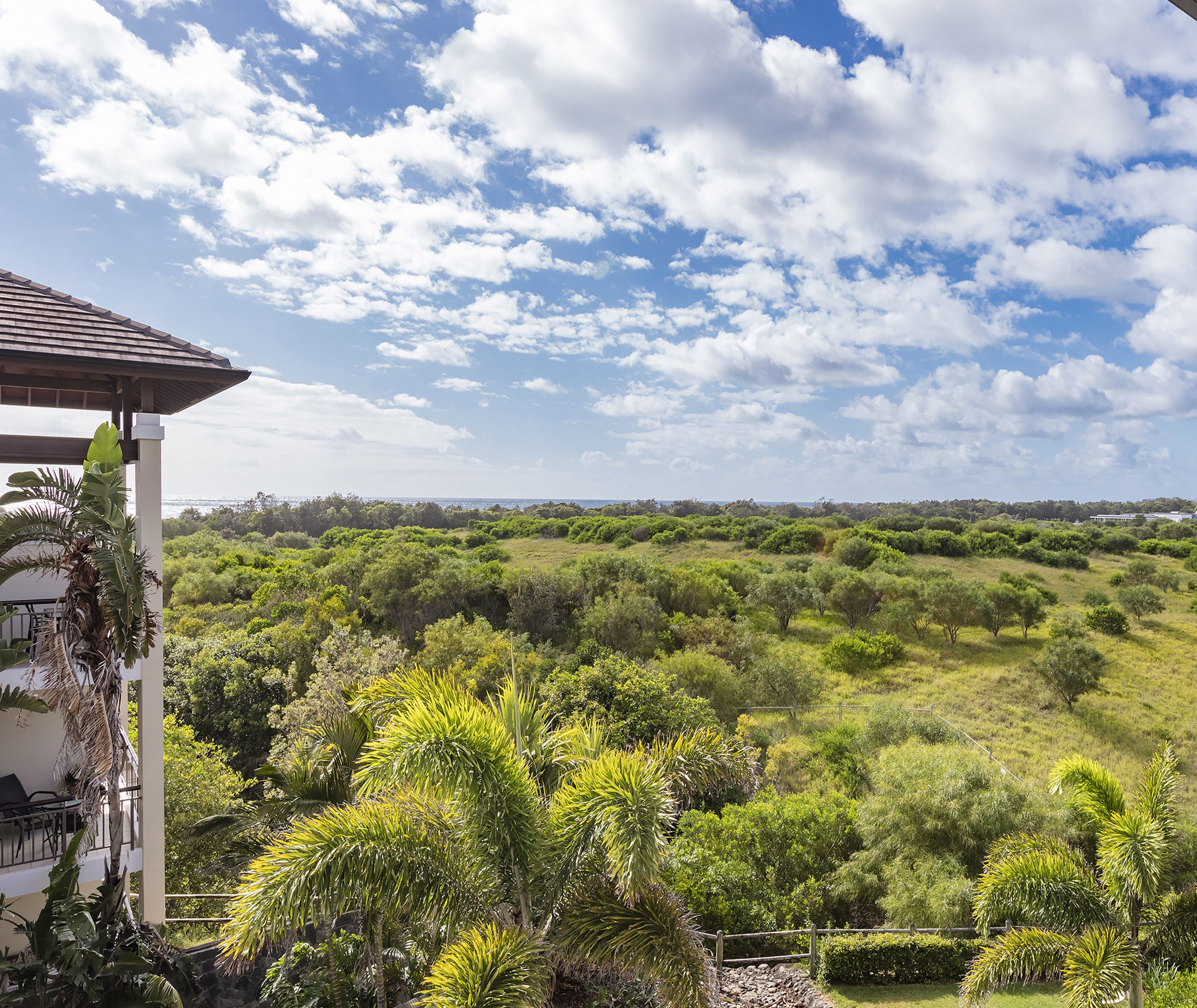 A lush landscape with a view of the sea, a wooden deck, and a variety of greenery.