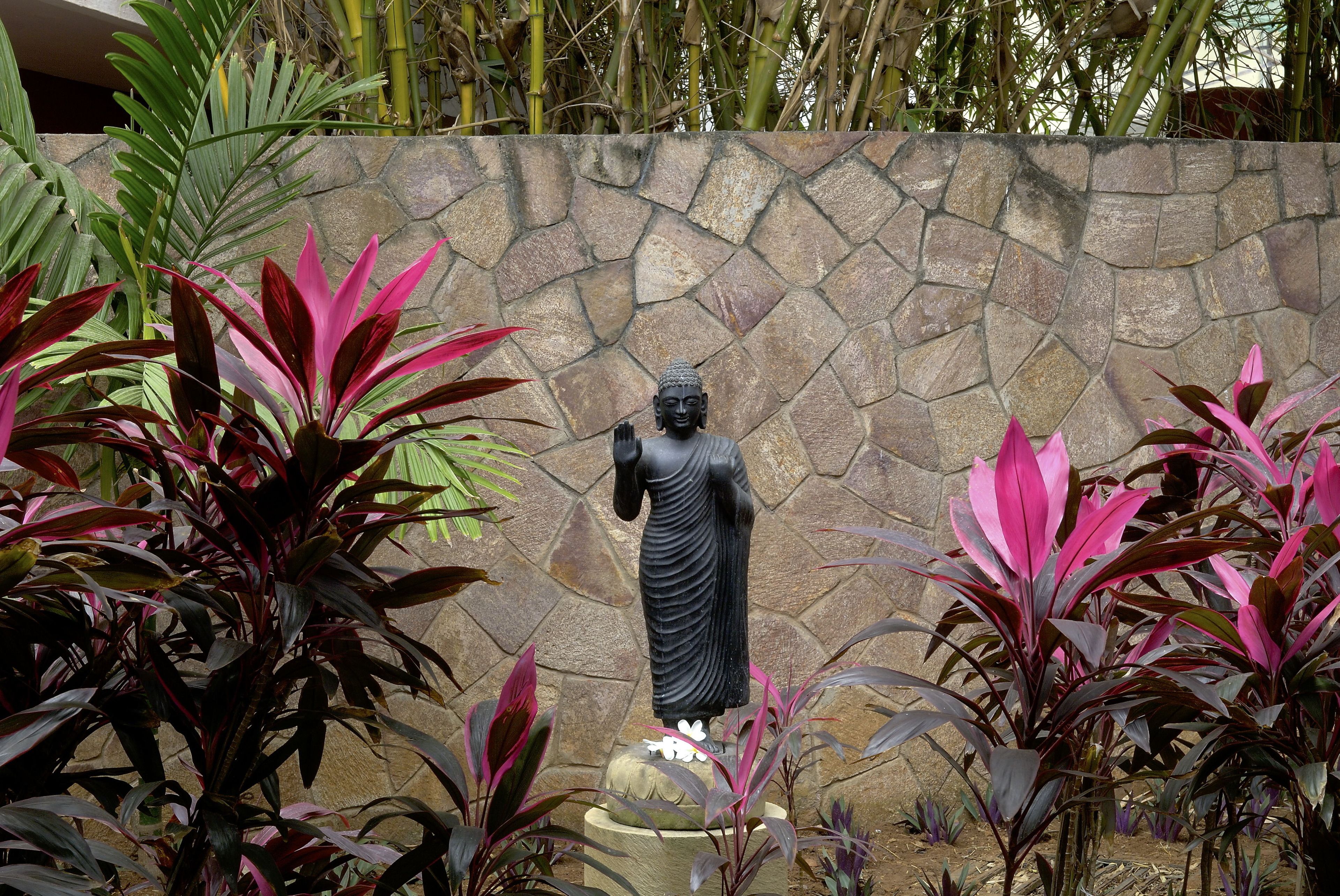 A Buddha statue in a garden with a stone wall and tropical plants.
