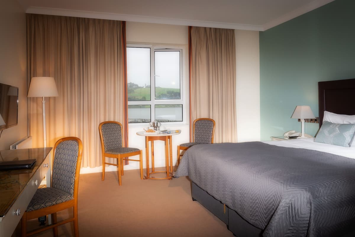 superior double room | individually furnished, desk, laptop workspace, iron/ironing board