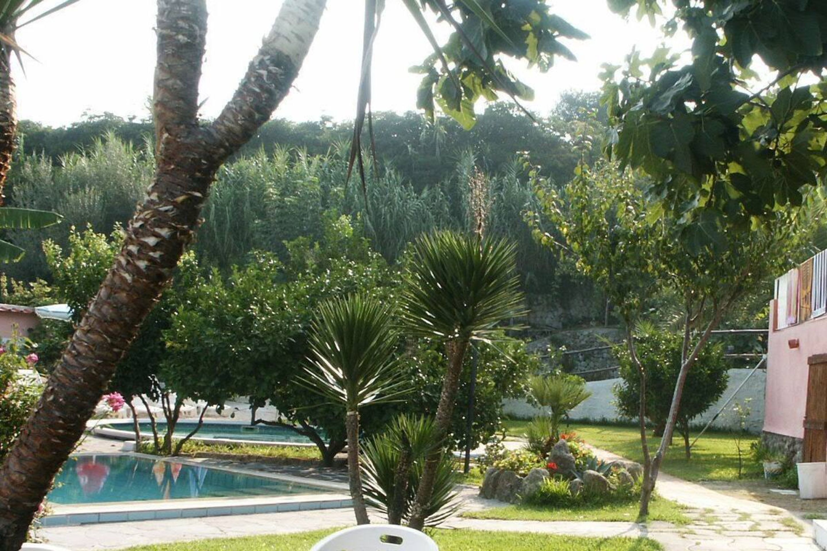 Jardin