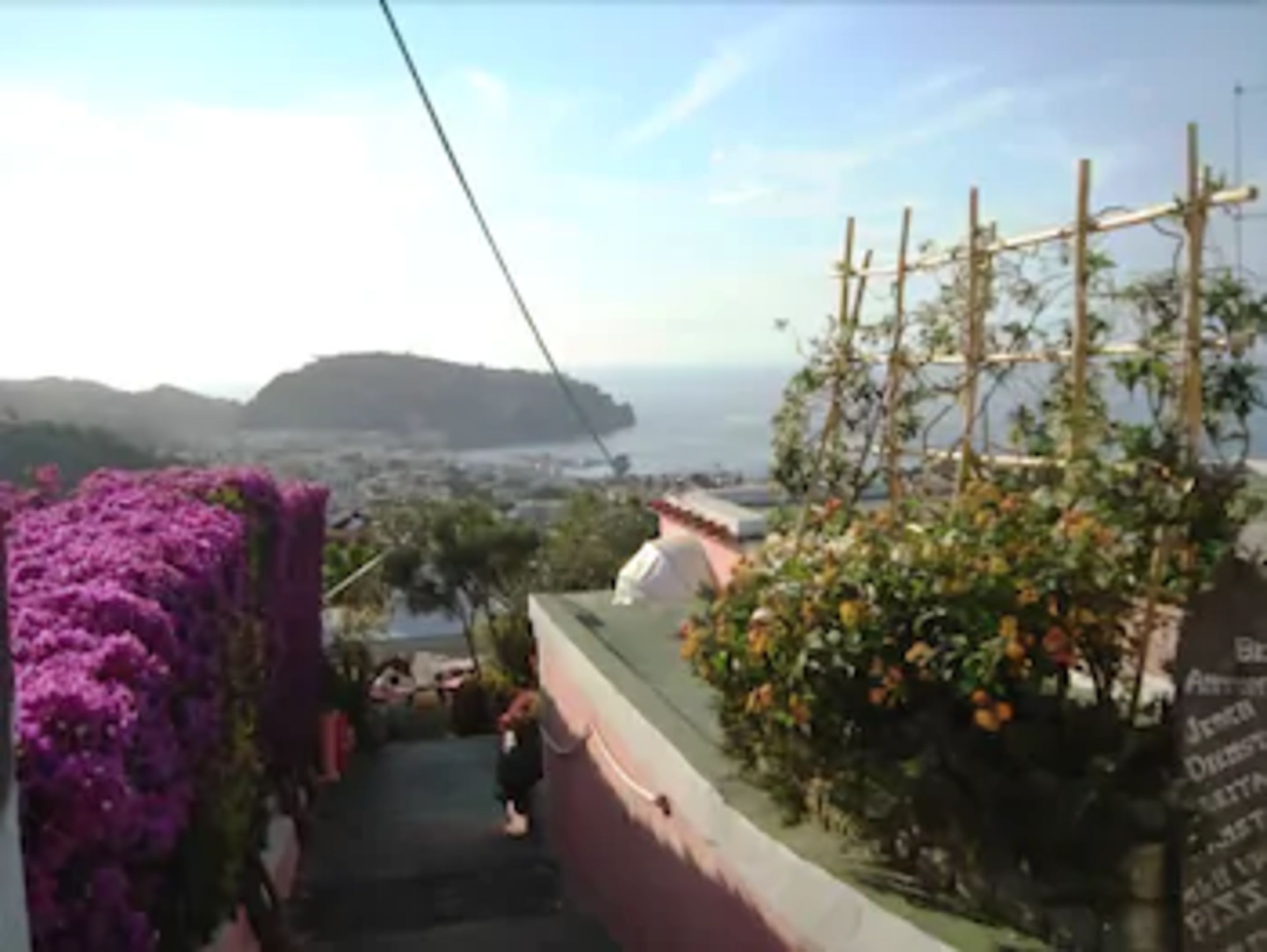 A narrow pathway with purple flowers on the left, a wooden trellis with orange flowers on the right, and a view of a coastal town in the background.