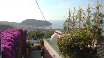 A narrow pathway with purple flowers on the left, a wooden trellis with orange flowers on the right, and a view of a coastal town in the background.