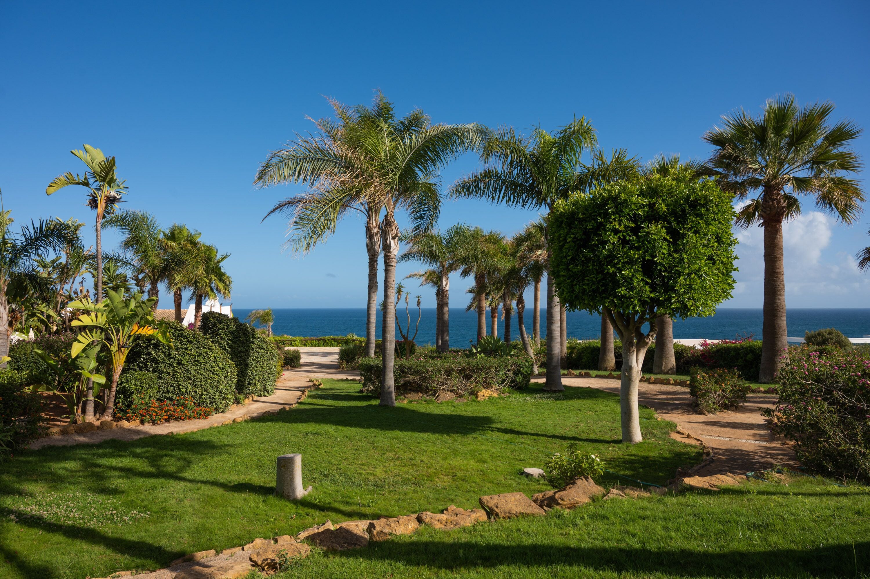 A landscaped garden with palm trees, a pathway, and a view of the ocean.