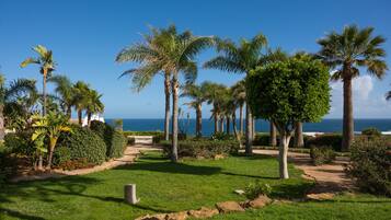 A landscaped garden with palm trees, a pathway, and a view of the ocean.