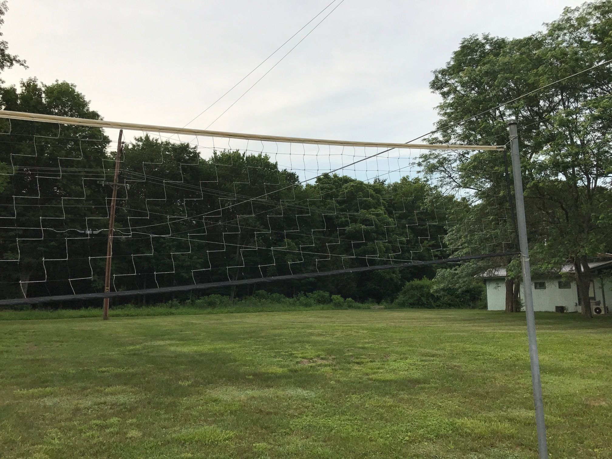 A grassy field with a netted structure, likely for sports, and a building in the background.