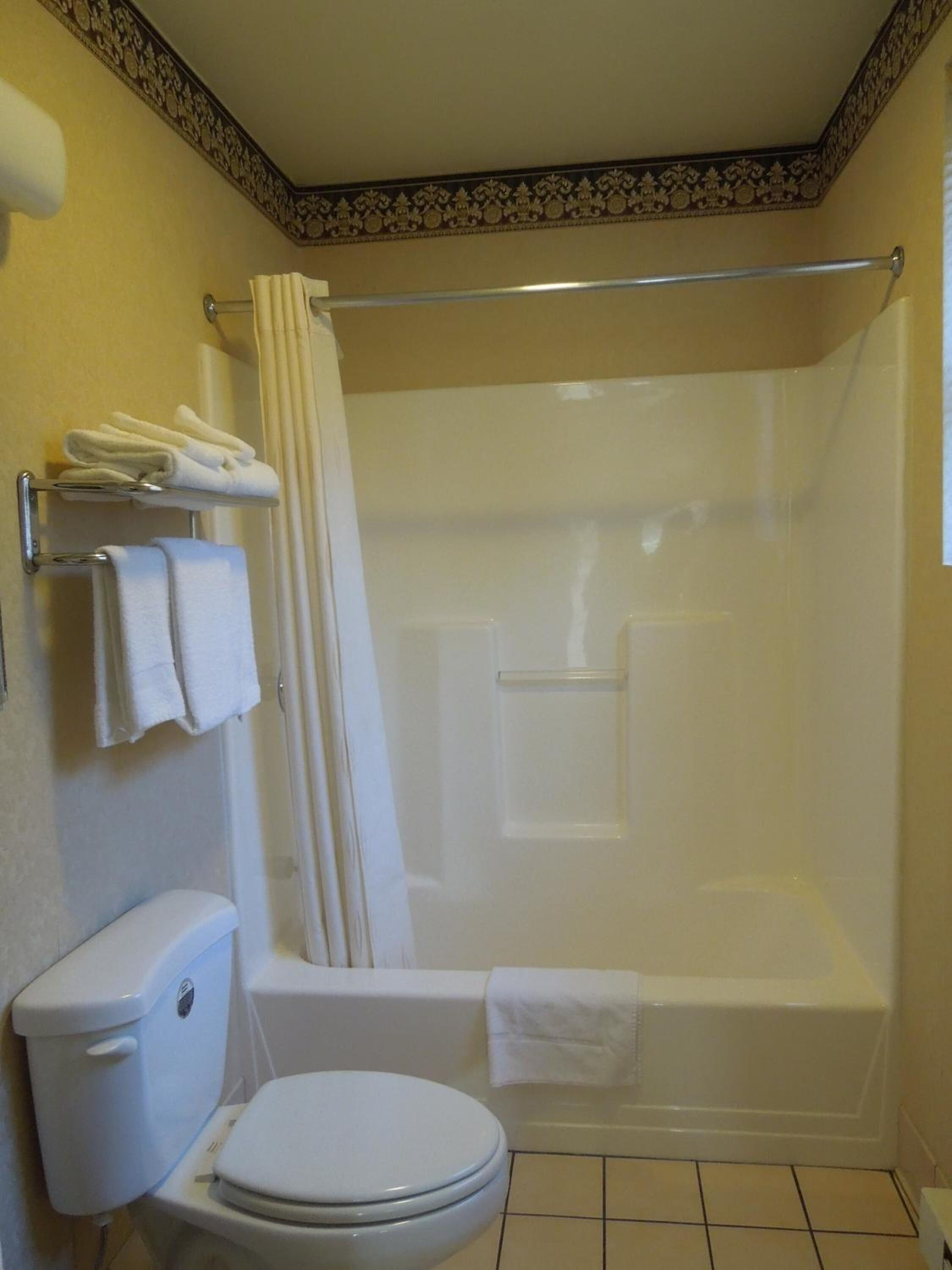 A bathroom with a toilet, a bathtub, and a shower curtain.