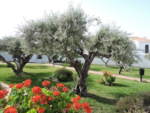 Jardín