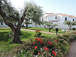 Stroll through the tranquil garden, surrounded by olive trees and vibrant flowers, leading to the simple, white building.