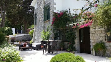 Jardin