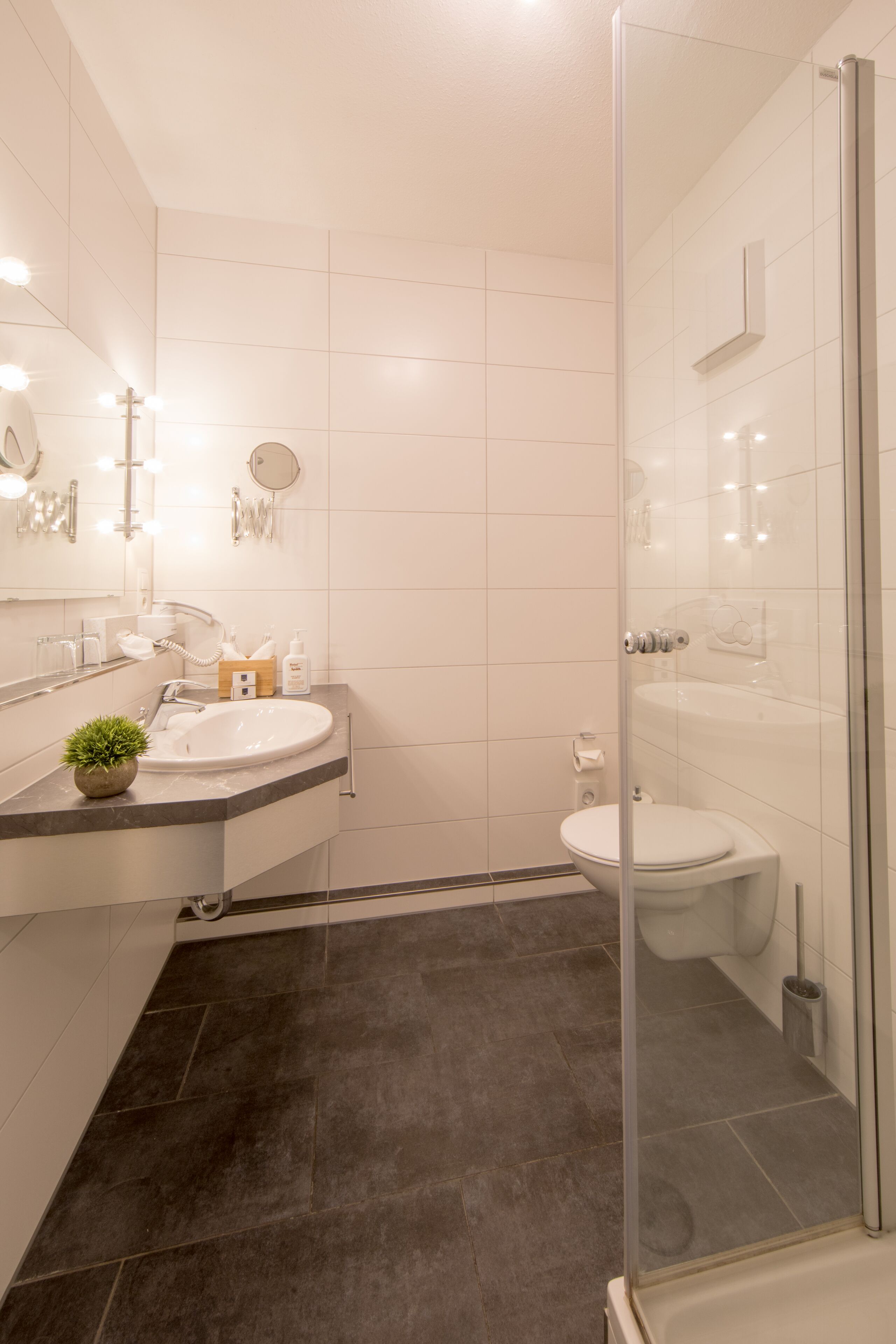 Un baño moderno con ducha envuelta en vidrio, un lavabo blanco y un inodoro.