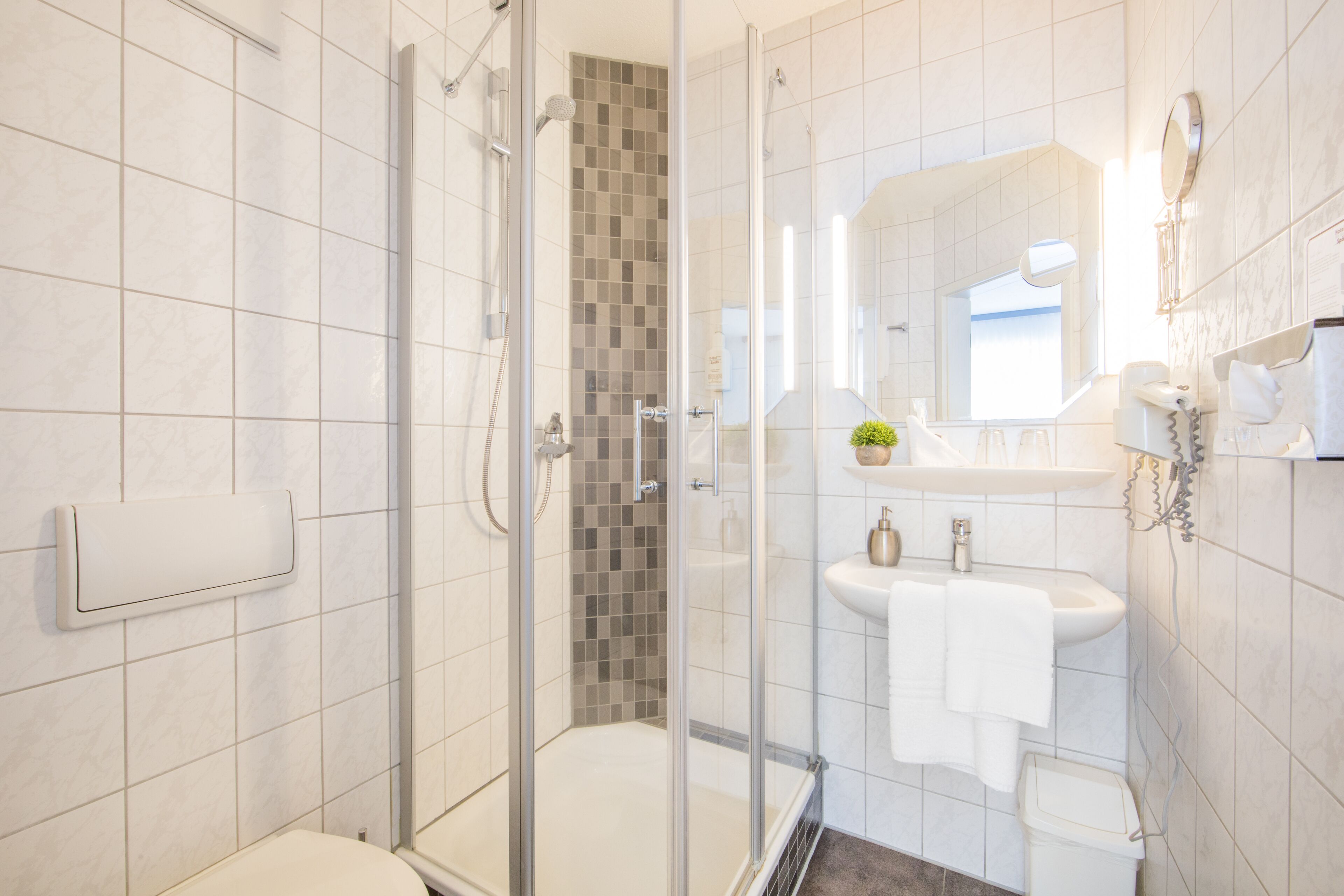 A modern bathroom with a glass shower enclosure, a white sink, and a mirror above the sink.
