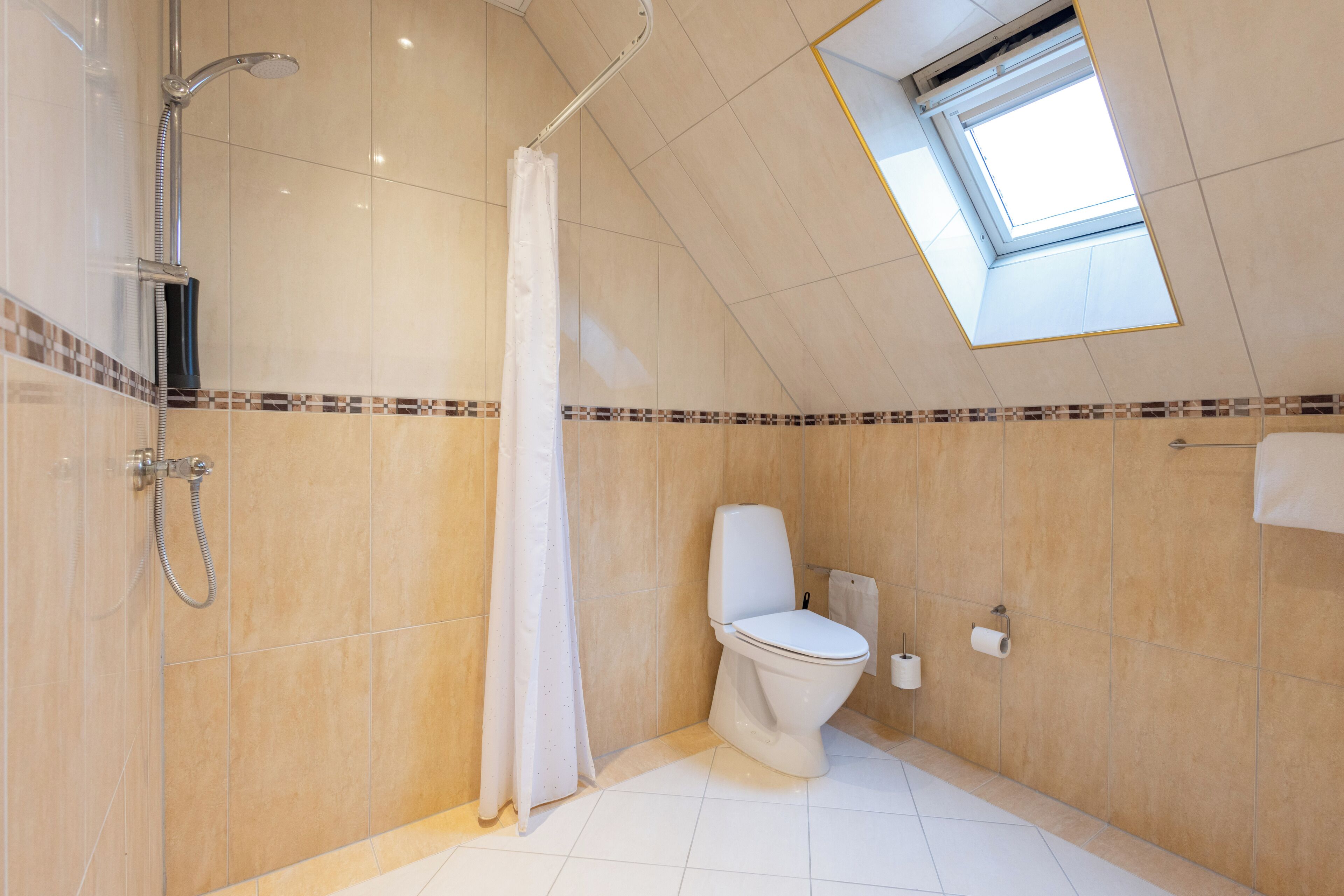 Une salle de bain moderne équipée d’une douche, de toilettes et d’une lucarne.