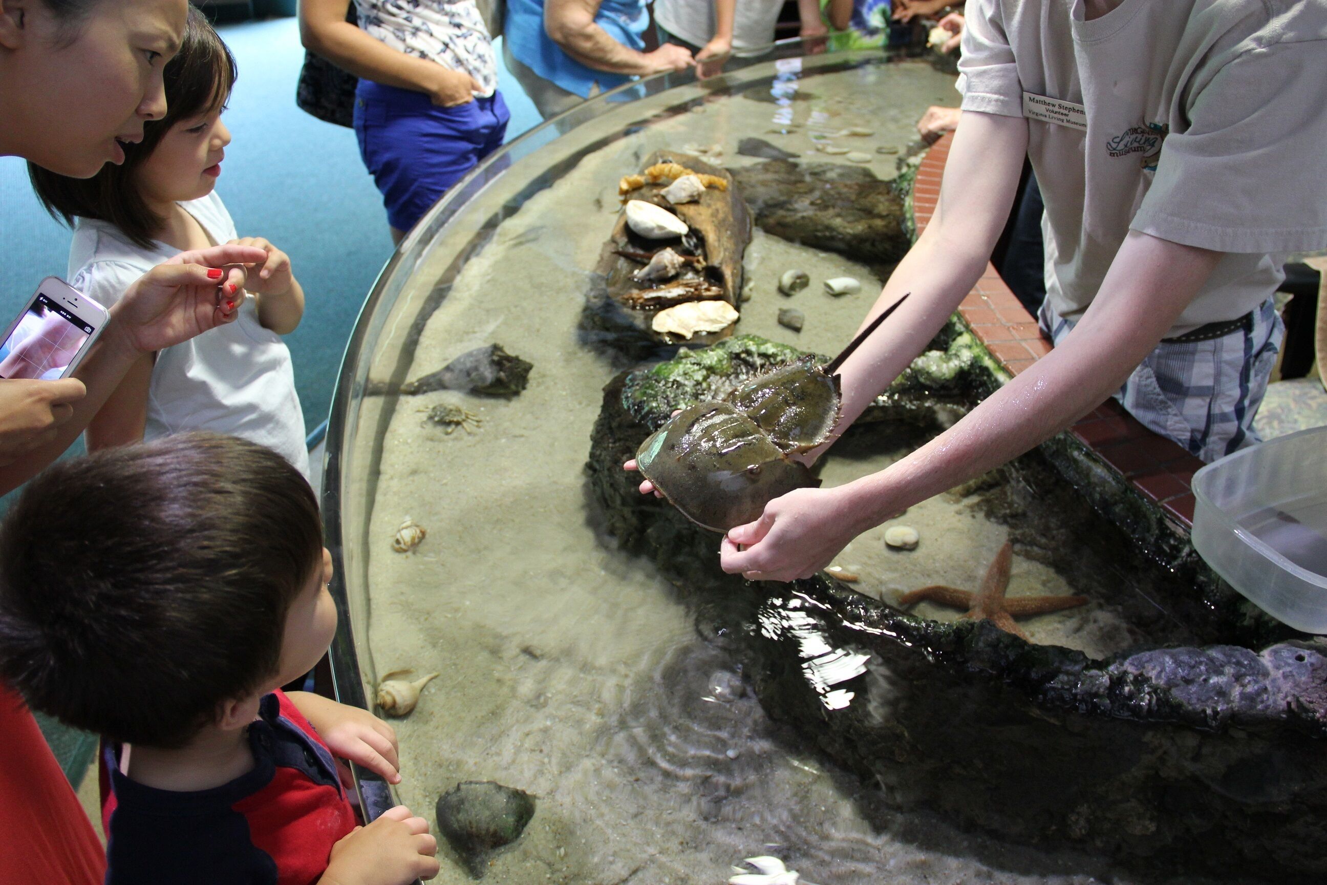 A group of people observing a large aquarium tank with various aquatic life and rocks.