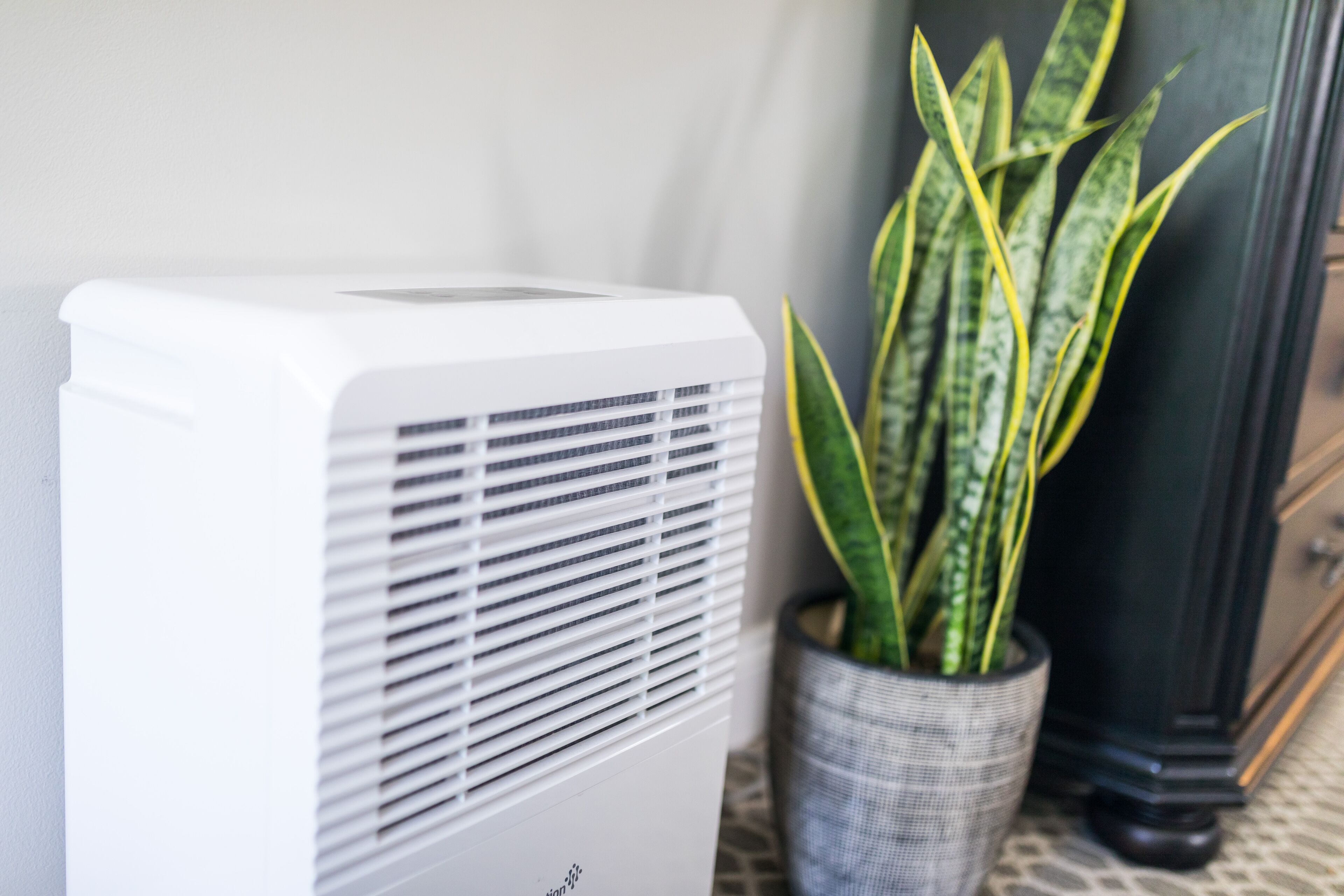 A white portable air conditioner next to a potted plant.