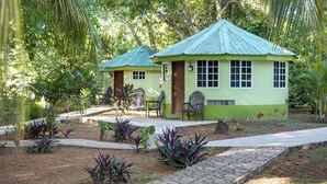 A small, single-story building with a green roof and a paved pathway leading to it.