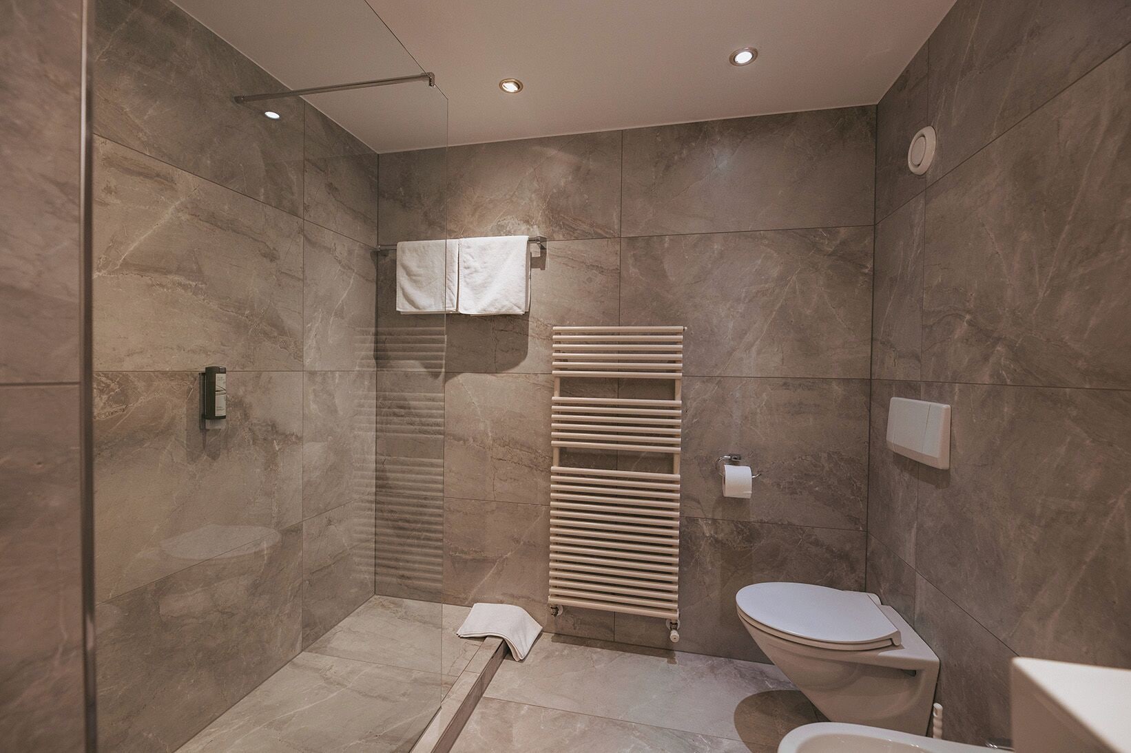 A modern bathroom with a walk-in shower, a toilet, and a towel rack.