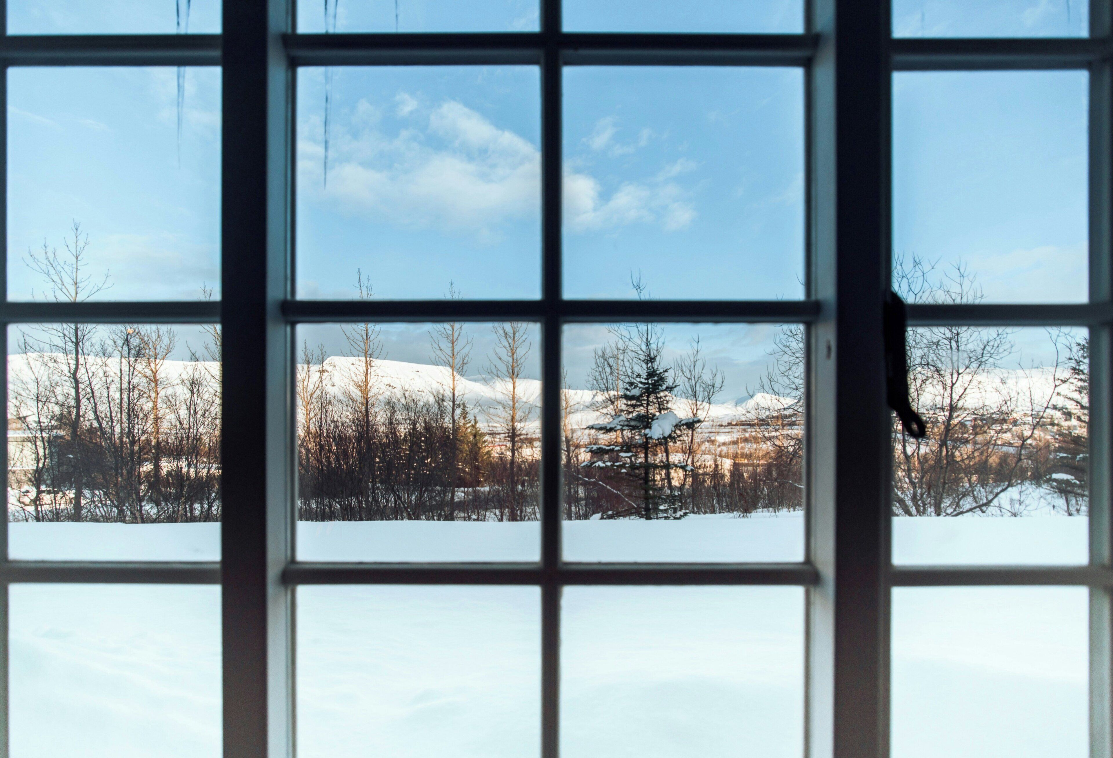 Studio Économique, 2 lits une place, coin cuisine, vue montagne | Vue de la chambre