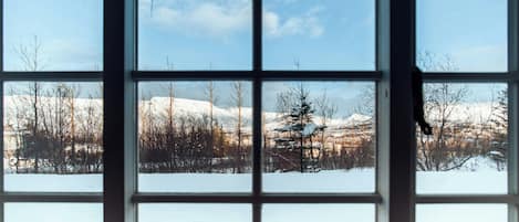 Economy Studio, 2 Twin Beds, Kitchenette, Mountain View | View from room