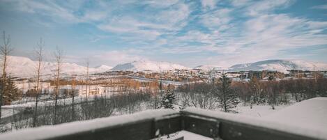 A snowy landscape with a town in the distance, a clear sky, and a snow-covered mountain range.