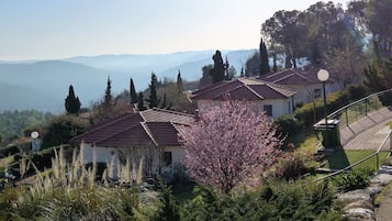 Vista desde la propiedad