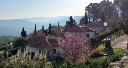 Shoresh Green Hills Family Suites Hotel