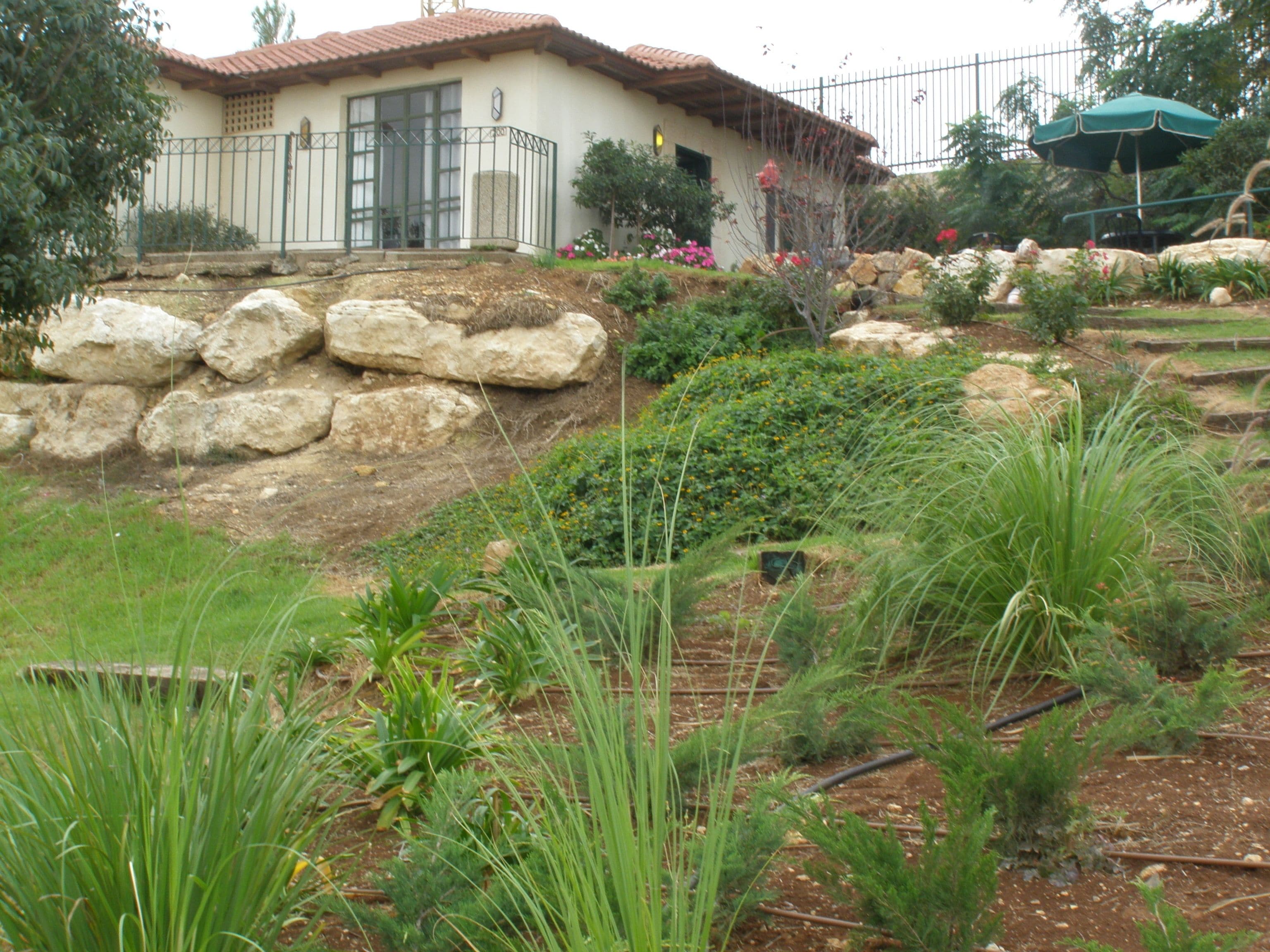 Standard Suite | 1 bedroom, desk, blackout drapes, free cribs/infant beds