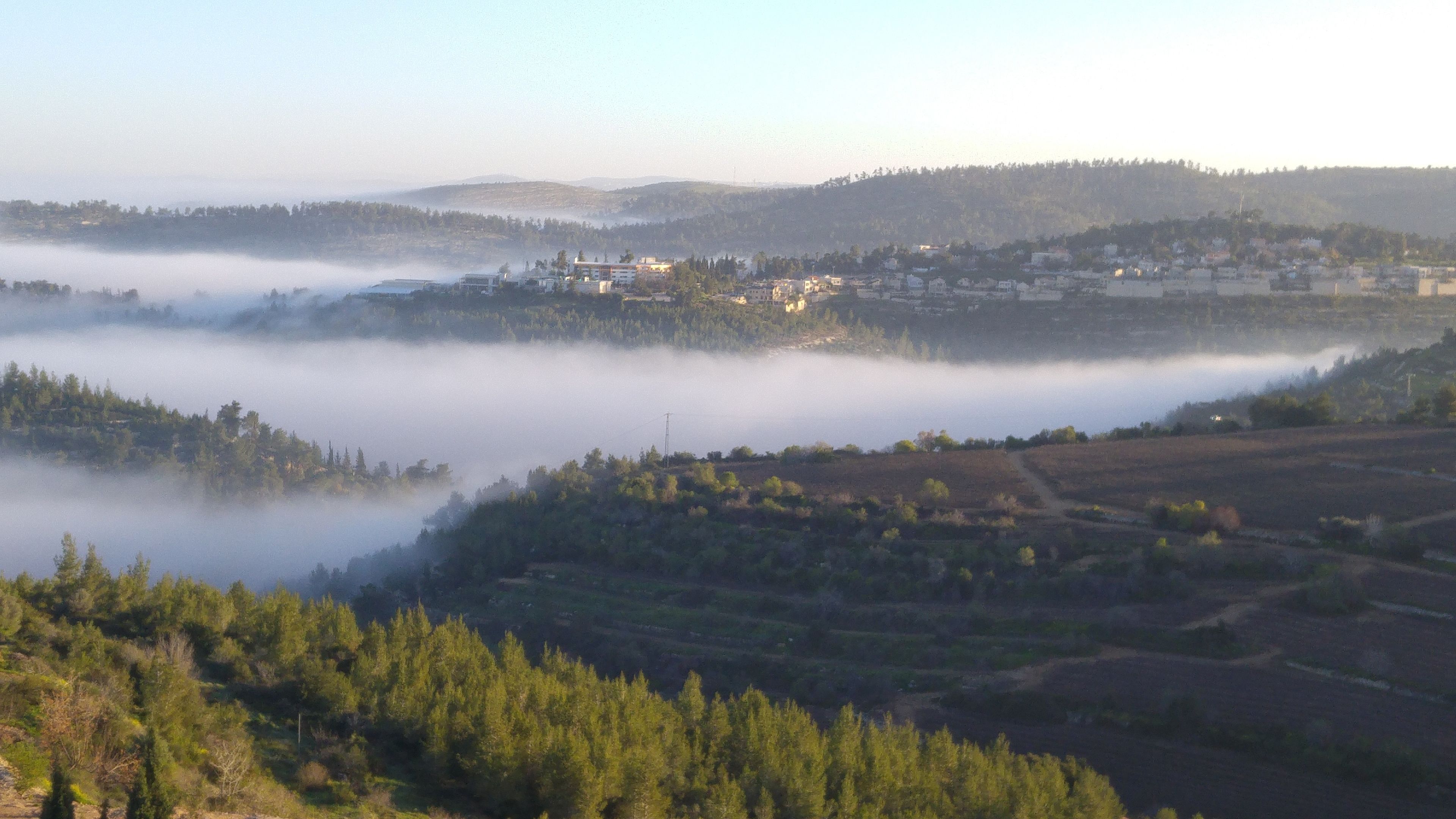 Photo - Shoresh Green Hills