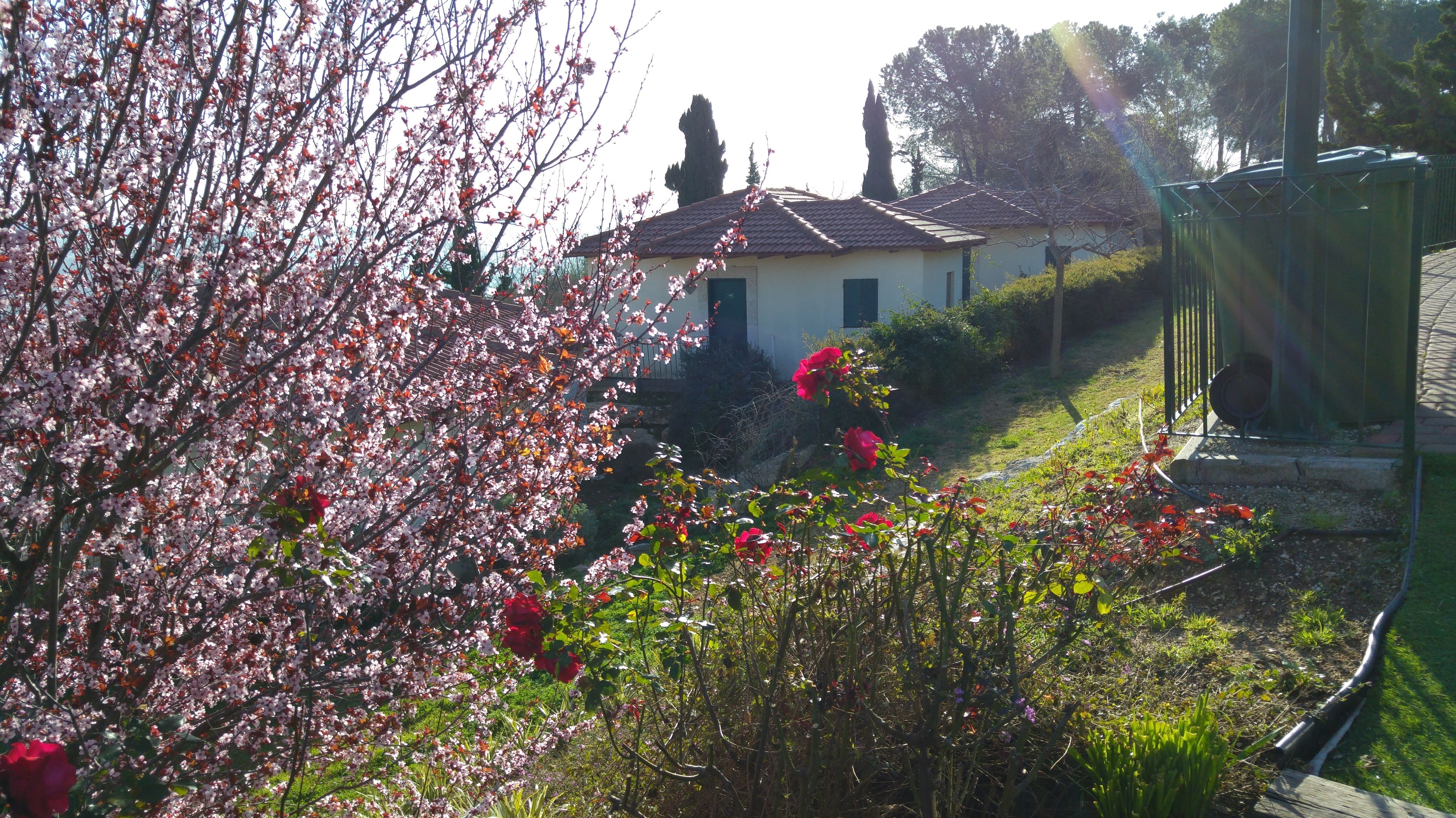 Photo - Shoresh Green Hills