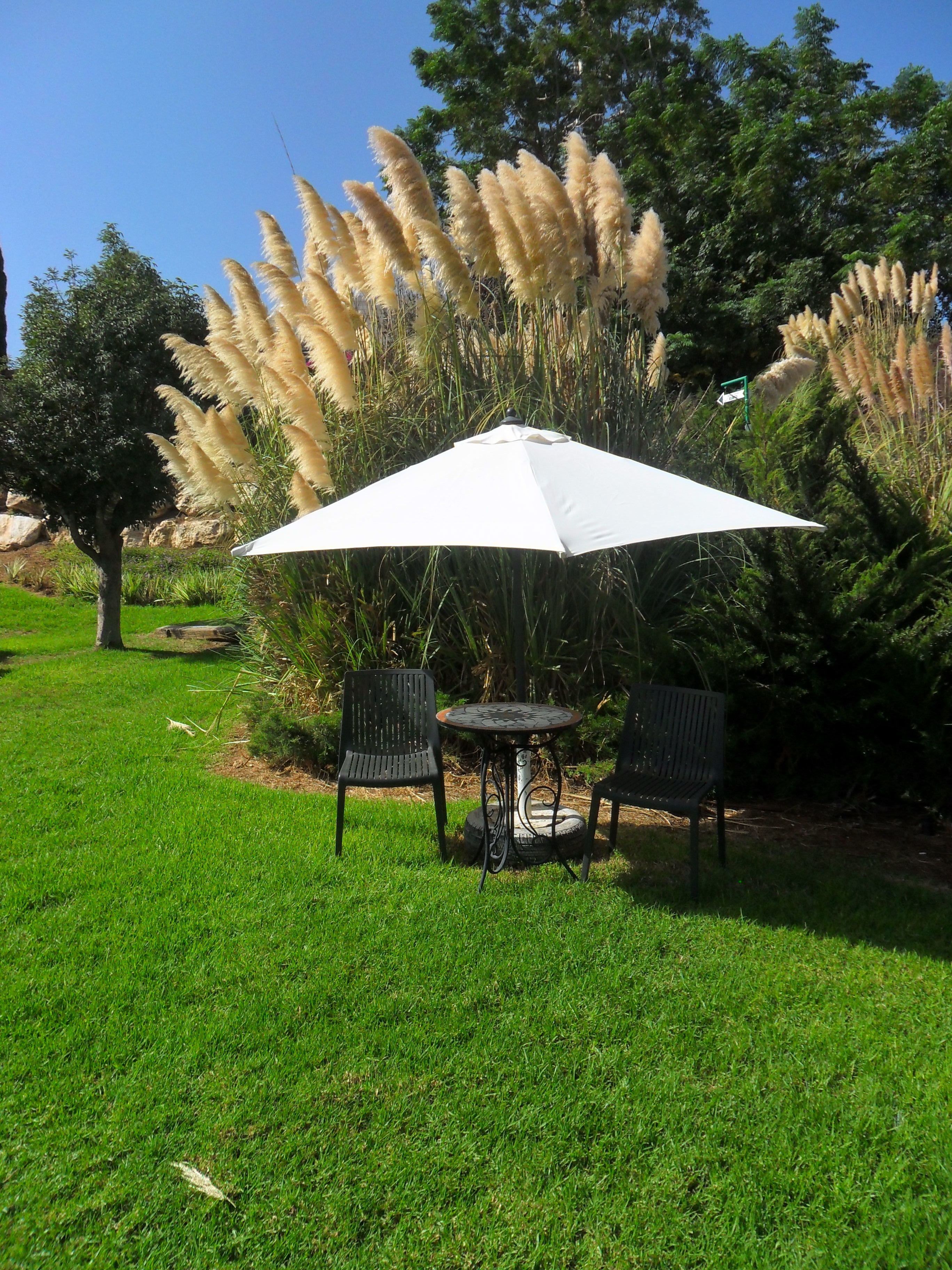 Photo - Shoresh Green Hills