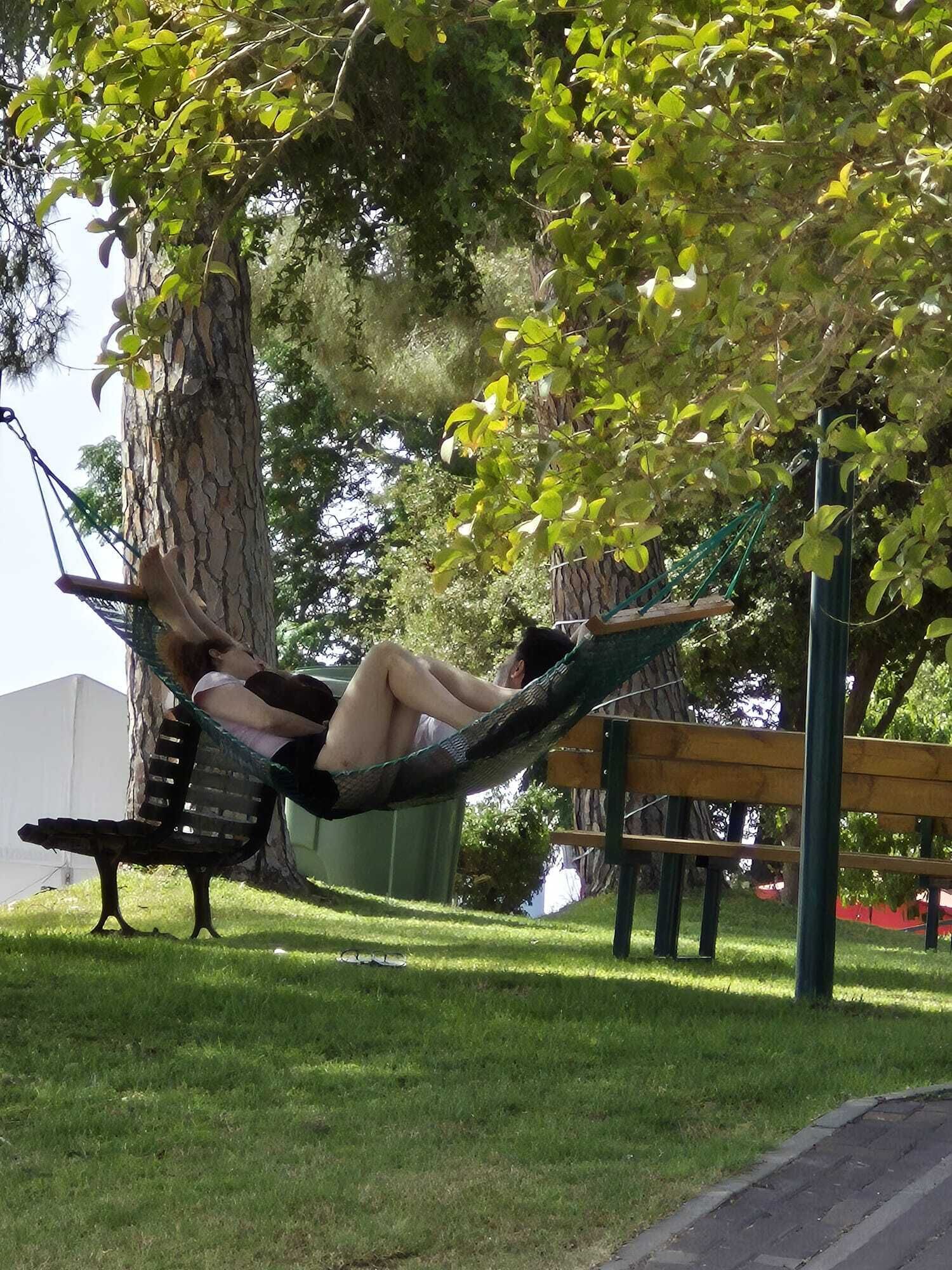 A hammock suspended between two trees in a park.