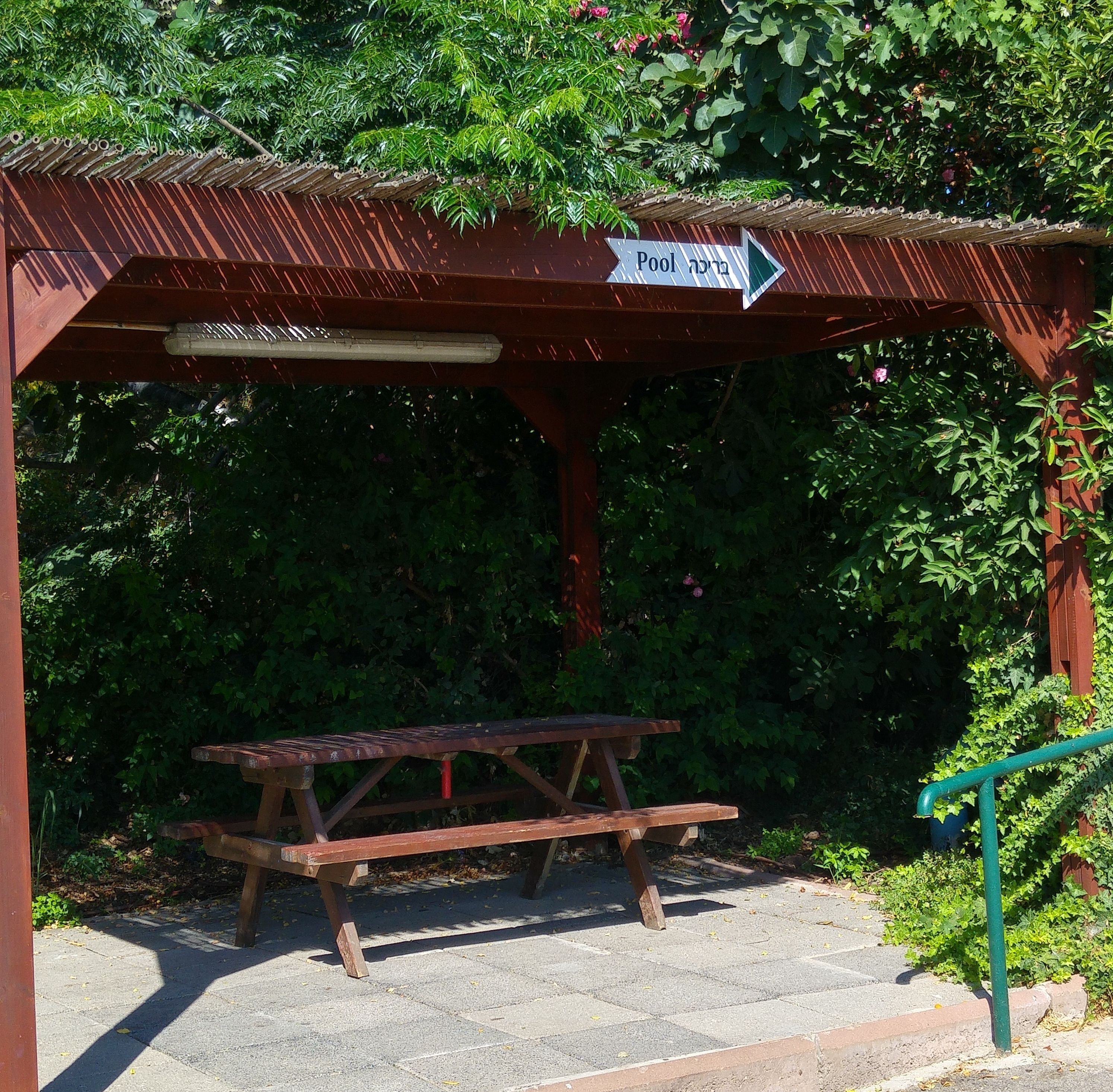 Un refugio de picnic de madera con un banco, rodeado de abundante vegetación y un cartel que indica la dirección a la piscina.
