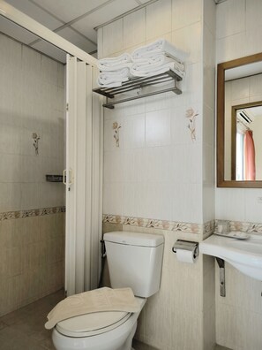 Un baño con inodoro, toallero, ducha y lavabo con espejo.