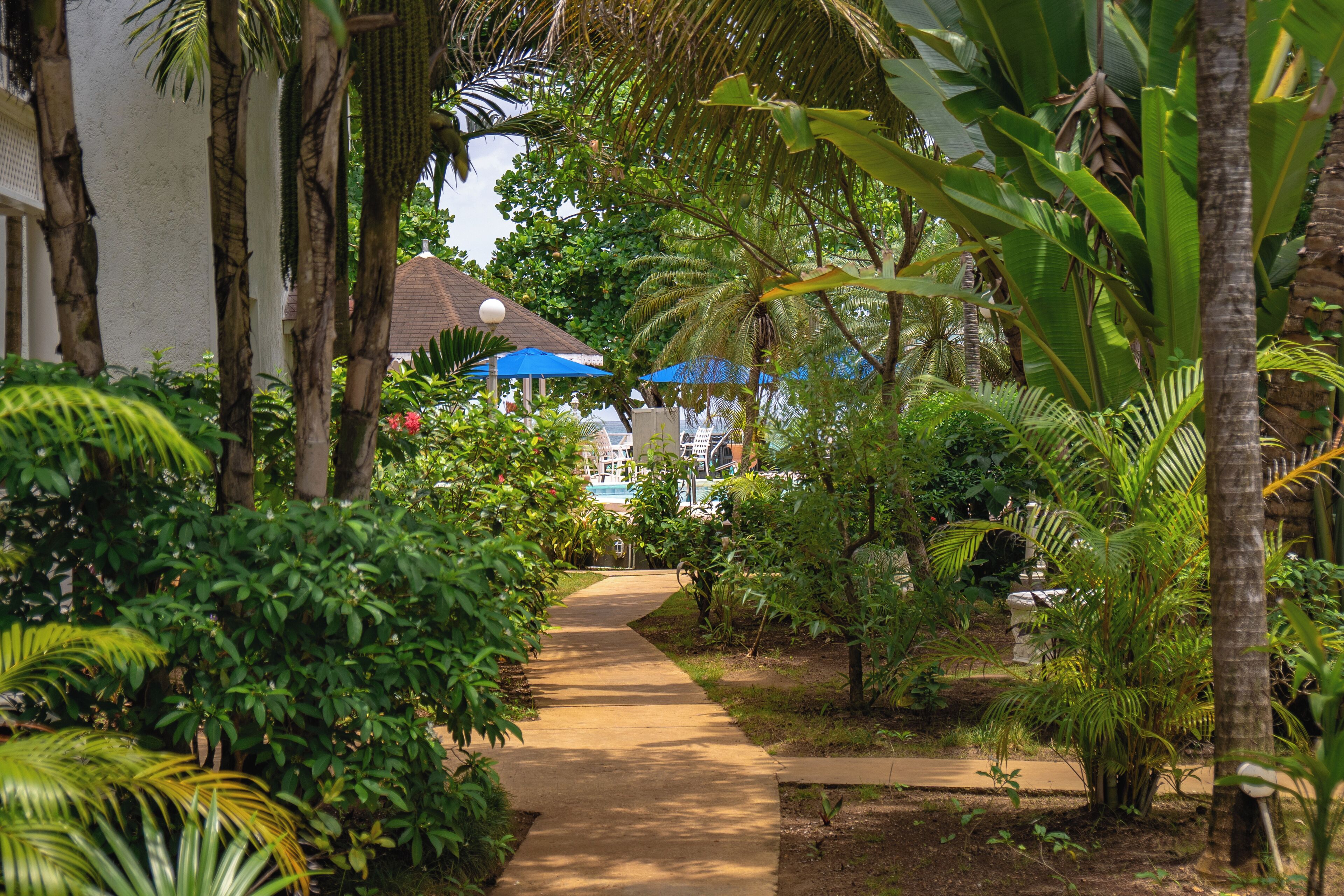 Jardim