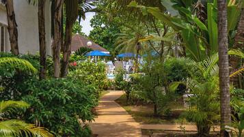 Jardim