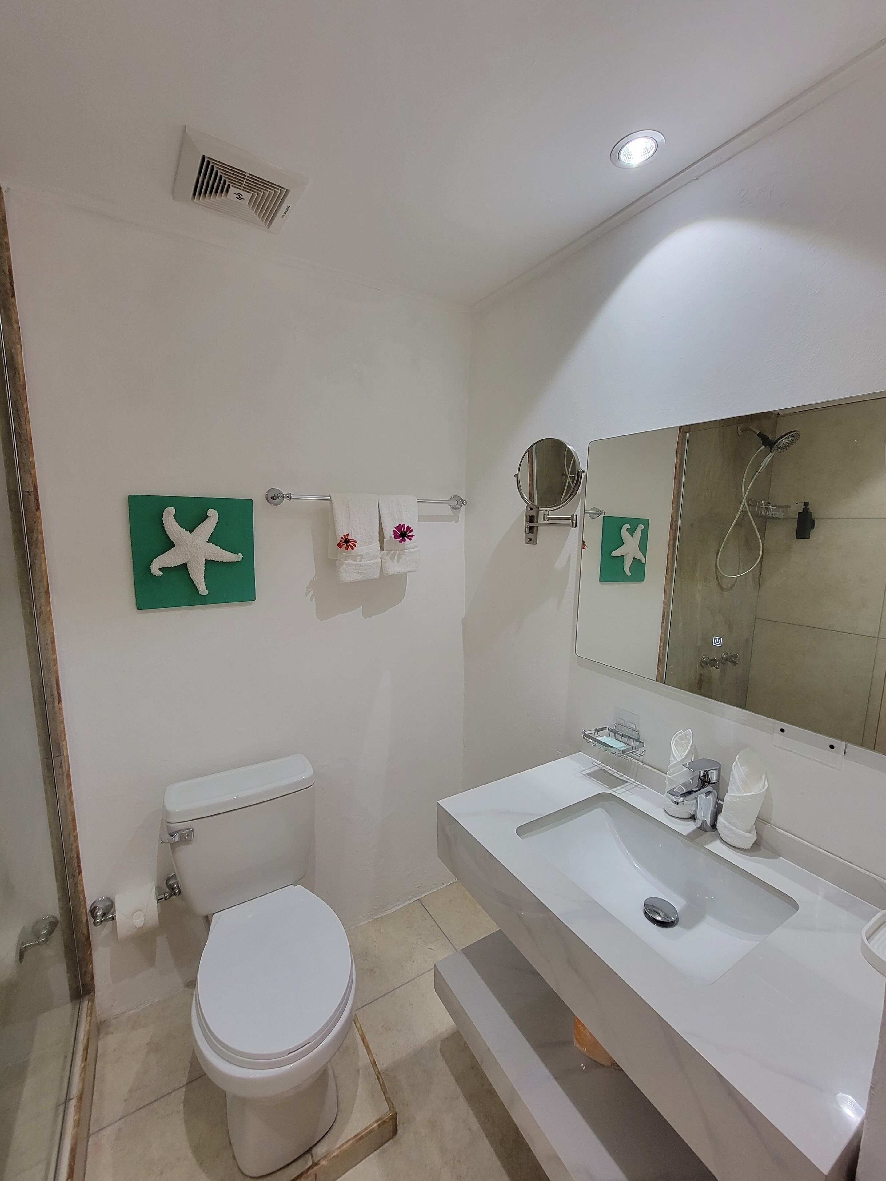 A bathroom with a toilet, sink, mirror, and shower. There are starfish decorations on the wall.
